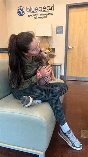 #ad Do you have pet insurance? 🐾 It’s one of those things you hope you’ll never need… until the day you do. When you’re going through something difficult with your dog, the last thing you want to think about is money. Having coverage means you can focus on what truly matters, loving them, being present, and making every single moment count. 💛 If you’ve been on the fence about it, this is your sign. Click the link in my bio to learn more about how @trupanion can give you the same peace of mind 