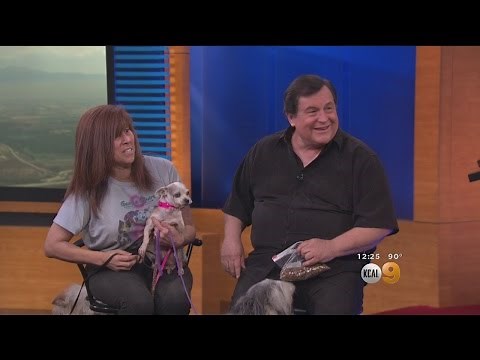 'Batman' Actor Burt Ward A Real-Life Hero To 4-Legged Friends