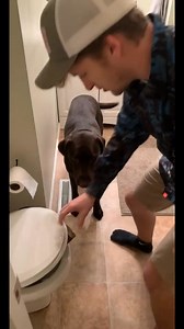 Trained Max how to in the | Maximus2themax