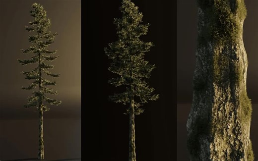 iBlender中文版插件 使用 Blender 3.1 内置免费插件 sapling tree gen 真实树木建模 松树 Blender插件