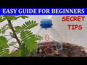 Plastic Bottle Drip Water Irrigation System Very Simple Easy#12 ll DIY home drip irrigation system