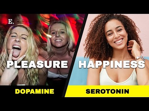 Happiness vs. Pleasure and Why it Matters | by Dr. Robert Lustig