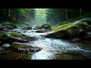 Relaxing Ocean Waves and Birds Singing