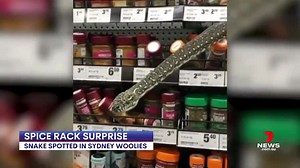 13K views · 134 reactions | A sneaky snake has given shoppers a shock at a Sydney supermarket. The diamond python was seen slithering along the spice rack at Woolworths yesterday. 7NEWS at 6pm | More local news: www.7news.com.au/news/vic #7NEWS | 7NEWS Melbourne | Facebook