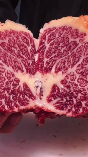 Exploring Sci-Fi Reddit Stories: A Writing Prompt Adventure