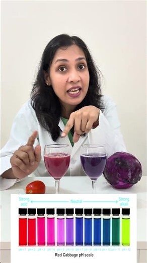 Acid vs Base pH Scale | Science Experiment