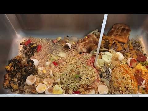 Garbage Disposal (Full Sink of Food)