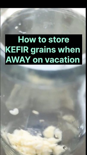 🤔 KEFIR Grains- EASY STORAGE TIPS - when on vacation !! Wish I knew it earlier !!