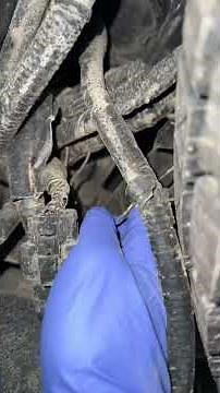 SECRET 3rd brake light wire #fordtrucks #viral #shorts