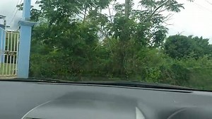 72K views · 643 reactions | A small peek through one of many wealthy Jamaican Neighbourhoods..Jamaica, playground of the rich & famous...home to some of the best houses in the Carribean | Jamaica Love | Facebook