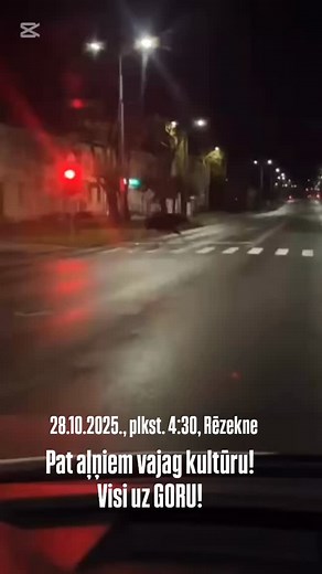 1.2K views · 1.6K reactions | Pat aļņiem vajag kultūru! Visi uz GORU! Rādās, ka aļņi nav nemaz tik dumji! Latgales vēstniecība GORS Rēzekne #latgalesgors #rēzekne #alnis | Diāna Zirniņa | Facebook