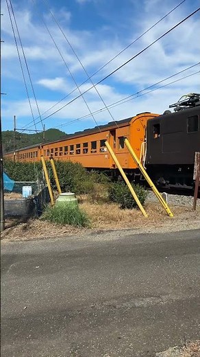 【かっこいい機関車トーマス号】大井川鐵道で茶畑を走る 珍しい第4種踏切も #鉄道