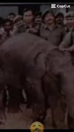 sl military boy official on TikTok