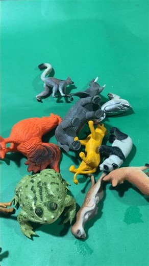 Minimalist Animal Collection Showcase | High Quality ASMR