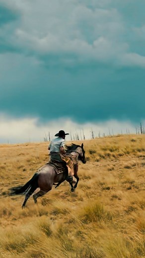 Grade mare for sale not on sale.. I know what I got ✋🏻🥕🥕🥕 #cowboy #ranchbronc #rodeo | Skyler Golden