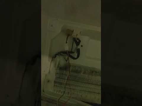 Freezer Works, but Fridge Is Warm (How to Fix It)