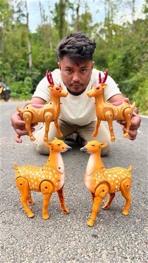 4Ta Remote Control Deer Big vs Small