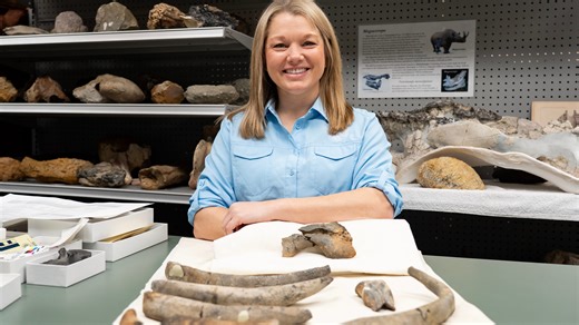 Bone of dugong, 30 million years old, found in Mississippi. What's a dugong?