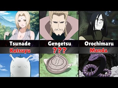 List of All Summoning Animals in Naruto & Boruto (Canon Guide)