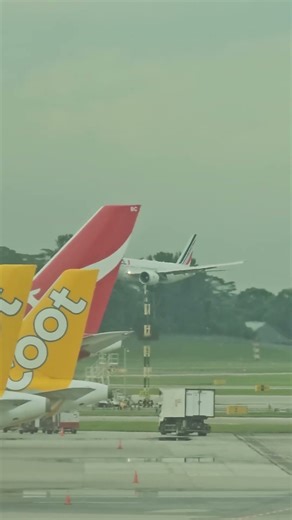 Air France B777-300ER Landing! 🛬 #planespotting
