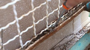 Heavy corrosion of an aged gate, white painted surface being eroded under the pressure of climate change. Rusty surface of oxidized fence, person removing corrosion with metal screwdriver