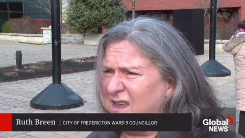 Fredericton flies Palestinian flag outside city hall for first time ever