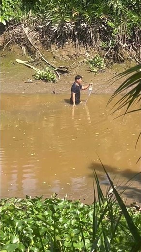 1029: Setting a net in the misty air? #video #fishing #fish #viralvideo #viralshorts #shortvideo ...