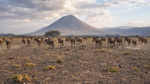 Would you survive this open wilderness?