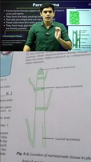 Tissues Complete Chapter🔥| CLASS 9th Science| NCERT covered | Prashant Kirad