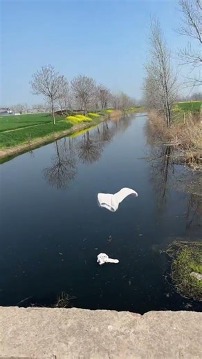 Anhui's Hidden Gem: The Funniest Douyin Video You'll Ever Watch