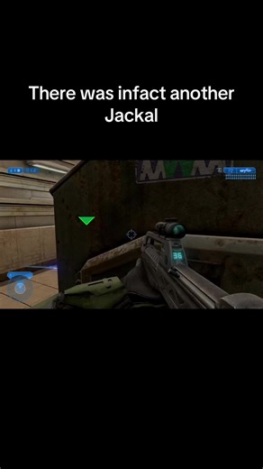 Sniper Jackals in Halo: A Hilarious Gaming Experience