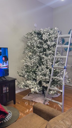 It’s that time!!!!! | Travis Collis