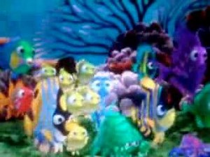 Nemos swimming out to the boat!!