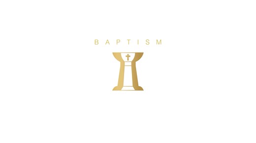 Join Fr. Chris Alar, MIC, as he breaks open the powerful meaning of Baptism. This teaching is part of Fr. Chris's brand-new book, Understanding the Sacraments—a must-have guide to the spiritual treasures of the Church. Order your copy now at shopmercy.org #FrChrisAlar #UnderstandingTheSacraments #ShopMercy #MarianFathers | Divine Mercy (official)