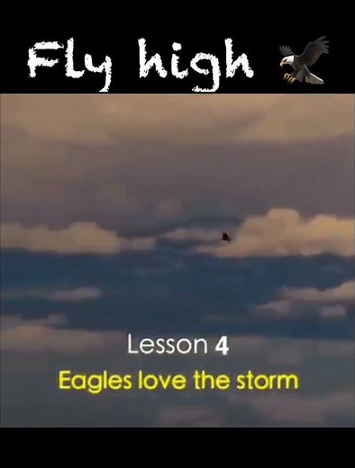 The 7 Leadership Principles You Can Learn From an Eagle! | Leadership