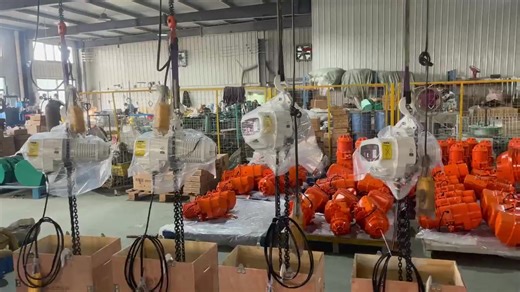 Electric Chain Hoist#hoist #liftingweights #lifting #crane #machine