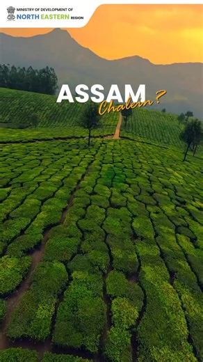 1.8K views · 56 reactions | Land of rolling tea gardens, mighty rivers, and timeless culture—welcome to Assam, the gateway to Northeast India. From the call of the wild in Kaziranga to the rhythm of Bihu, every corner tells a story worth experiencing. #MDoNERIndia #IncredibleIndia #AwesomeAssam #ExploreAssam | Ministry of Development of North Eastern Region, Government of India | Facebook