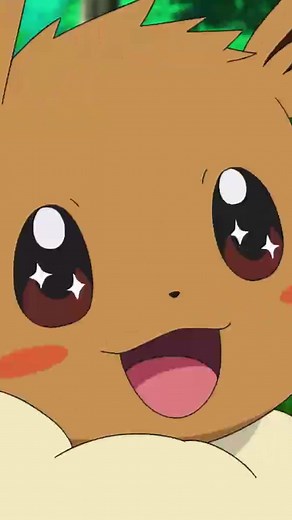 Quelle évolution pour Évoli ?