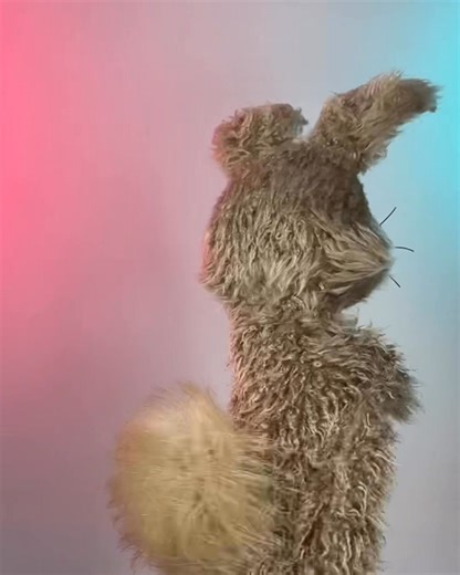 54K views · 1.1K reactions | Here’s Coco the Rabbit built for @profdanslater keep an eye out for him hopping up somewhere near you… | Phil Fletcher Puppeteer/Puppet Builder | Facebook