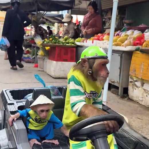 206K views · 5.2K reactions | Best compilation videos! Oh my god, what a special one of a kind market  | Mr Chun | Facebook