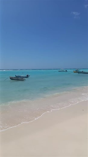 #Barbados vibes 🌞 Sun-kissed sand, turquoise waters & colorful fishing boats 🇧🇧 Tranquility found in our Caribbean paradise #beachlife #barbadosbeach #caribbeanbeach #caribbean