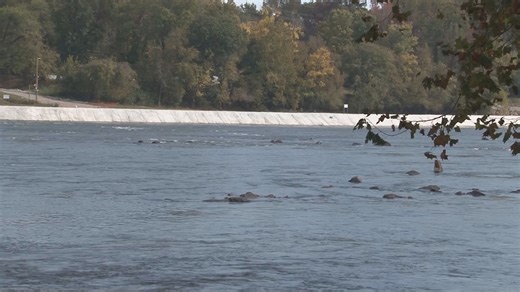 Experts warn of high mercury concentrations in fish