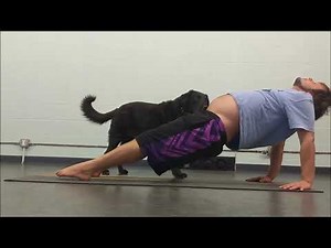 Dog Yoga