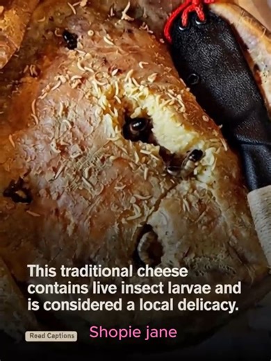 Casu Marzu is a traditional Sardinian cheese made from sheep’s milk and known for containing live insect larvae. While it may seem unusual to outsiders, locals view it as a symbol of heritage and identity. The larvae break down the cheese into a soft and intense paste that many Sardinians consider a mark of authenticity. Though controversial and once restricted by food safety rules, the cheese continues to survive through local pride and long standing tradition. It remains one of the world’s mos