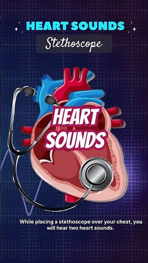 Heart sounds |lub and dub#neet #icse #shortsfeed