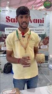 आता गाईना चारा बिस्किट खाद्य /cow biscuit feed #feed #cowfeed #खाद्य #पशूखाद्य #बिस्किट #biscuit