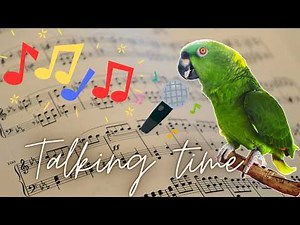Simon the Yellow Nape Amazon Parrot Talking/Singing Compilation