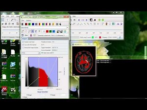 MIPAV Basics Display Options.avi