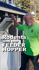 73 reactions · 11 shares | Rodents and our feeder hopper. Not giving rats and mice an easy place to live | Carolina Coops | Facebook