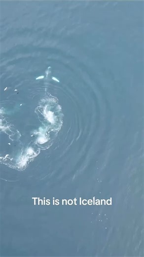 This is Homer, Alaska! ❤️🔥 📸: @betweenbeachesalaska #visithomer #homeralaska #alaska #kachemakbay #travelalaska #sharingalaska #onlyinalaska | Visit Homer Alaska